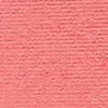 Apricot Now Powder Blush